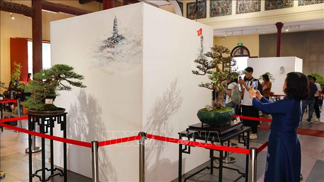 Trưng bày 70 tác phẩm cây cảnh nghệ thuật đặc sắc, tượng trưng cho 70 năm kỷ niệm Giải Phóng Thủ Đô 10/10. Ảnh: Thanh Tùng - TTXVN 