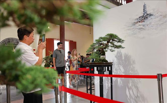 Trưng bày thu hút đông đảo người dân và du khách tới thưởng lãm. Ảnh: Thanh Tùng - TTXVN