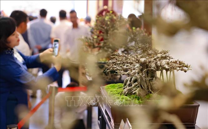 Trưng bày thu hút đông đảo người dân và du khách tới thưởng lãm. Ảnh: Thanh Tùng - TTXVN