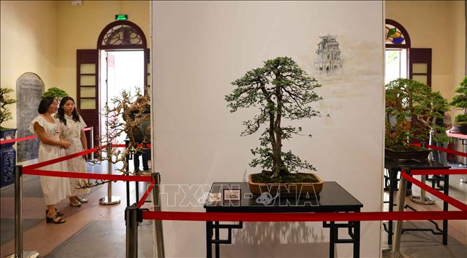 Trưng bày 70 tác phẩm cây cảnh nghệ thuật đặc sắc, tượng trưng cho 70 năm kỷ niệm Giải Phóng Thủ Đô 10/10. Ảnh: Thanh Tùng - TTXVN 