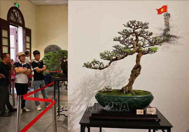 Sự kết hợp giữa các tác phẩm cây cảnh trong không gian đầy tính nghệ thuật, giữa lòng trung tâm phố cổ Hà Nội 36 phố phường, là minh chứng cho sự gìn giữ và phát triển nghệ thuật cây cảnh Việt Nam vươn tầm thế giới. Ảnh: Thanh Tùng - TTXVN 