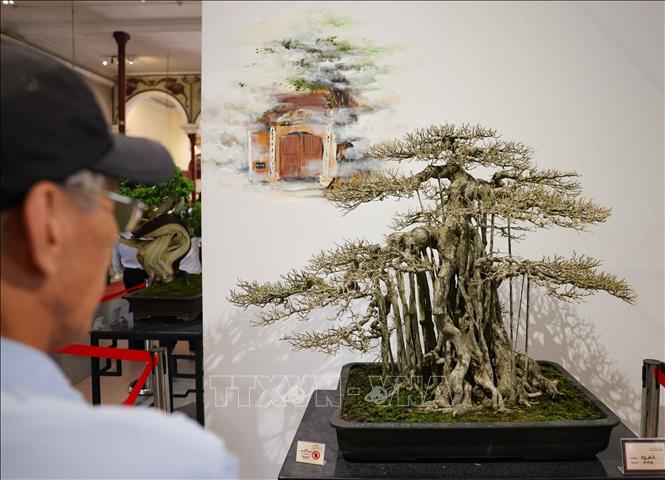 Kết hợp hài hòa giữa hội họa và cây cảnh tạo điểm nhấn trong không gian đậm chất nghệ thuật. Ảnh: Thanh Tùng - TTXVN