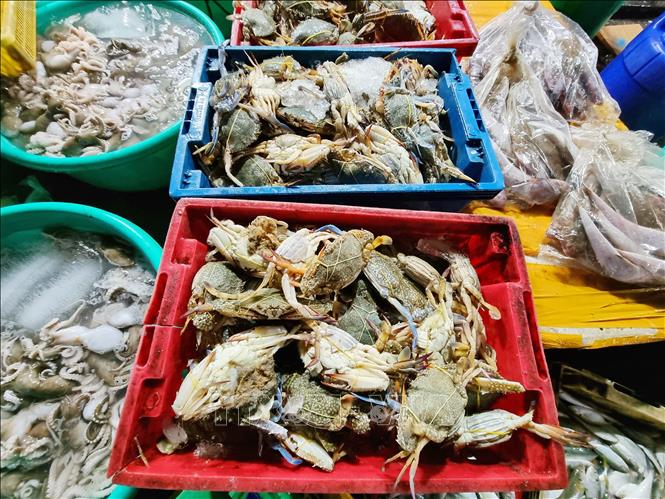 Ghẹ được bày bán tại cảng cá Đông Hải (thành phố Phan Rang - Tháp Chàm, Ninh Thuận). Ảnh: Nguyễn Thành – TTXVN