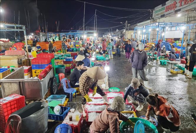 Hoạt động mua bán hải sản tại cảng cá Đông Hải (thành phố Phan Rang - Tháp Chàm, Ninh Thuận) diễn ra tấp nập từ rạng sáng. Ảnh: Nguyễn Thành – TTXVN