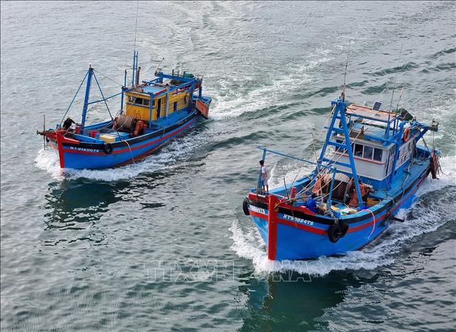 Tàu cá của ngư dân tỉnh Ninh Thuận vươn khơi khai thác hải sản. Ảnh: Nguyễn Thành – TTXVN