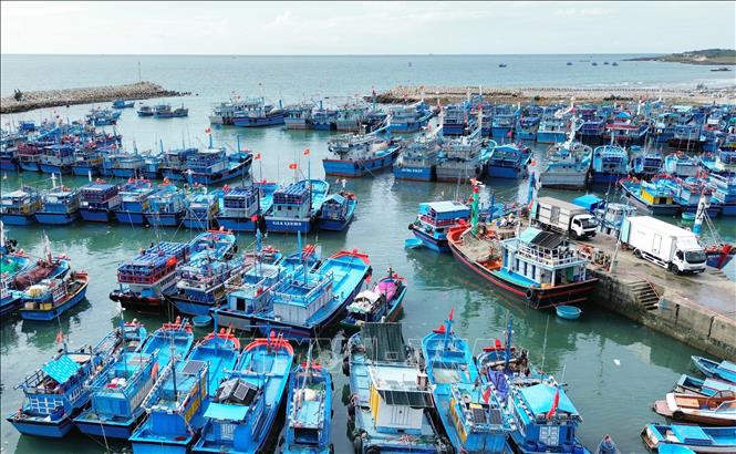 Tàu cá của ngư dân neo đậu tại cảng cá Mỹ Tân ở xã Thanh Hải (huyện Ninh Hải, Ninh Thuận). Ảnh: Nguyễn Thành – TTXVN