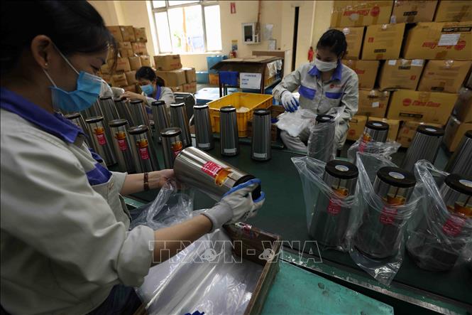 Hiện nay, hơn 60% sản phẩm phích nước của Công ty Rạng Đông được xuất khẩu sang các thị trường châu Á, châu Âu và Nam Mỹ. Ảnh: Vũ Sinh - TTXVN