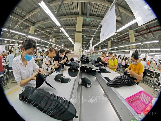 Doanh nghiệp Việt Nam có nhiều đóng góp quan trọng đối với nền kinh tế. Trong ảnh: Công ty Cổ phần giầy Hồng An ở xã Liên Sơn, huyện Lương Sơn (Hòa Bình) chuyên sản xuất giầy xuất khẩu sang thị trường châu Âu, Mỹ, tạo việc làm, thu nhập cho hơn 500 lao động. Ảnh: Trần Việt - TTXVN