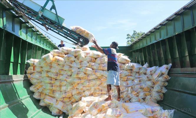Doanh nghiệp Việt đang nỗ lực đưa sản phẩm tiếp cận nhanh và hiệu quả đến khách hàng, nhất là với thị trường quốc tế. Trong ảnh: Đóng gạo xuất khẩu tại Công ty TNHH MTV lương thực Thoại Sơn, thuộc Công ty Cổ phần tập đoàn Lộc Trời. Ảnh: Công Mạo-TTXVN