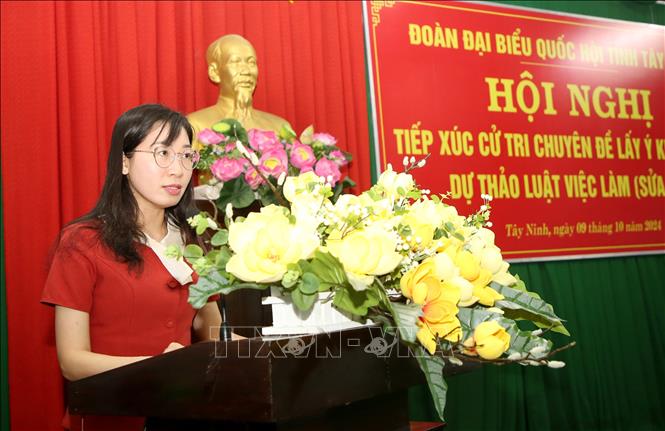 Bà Hoàng Thị Thanh Thúy, Phó Trưởng Đoàn ĐBQH tỉnh Tây Ninh phát biểu tại hội nghị. Ảnh: Giang Phương - TTXVN