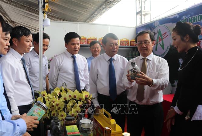 Bộ trưởng Bộ Khoa học và Công nghệ Huỳnh Thành Đạt cùng các đại biểu tham quan các gian hàng. Ảnh: Chu Hiệu-TTXVN
