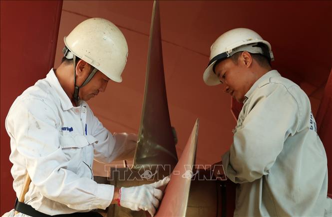 Đăng kiểm viên thuộc Chi cục Đăng kiểm số 10 làm thủ tục đăng kiểm đóng mới phương tiện thuỷ nội địa tại Công ty đóng tàu Khiên Hà, huyện Tiên Lãng, thành phố Hải Phòng. Ảnh: Quốc Khánh - TTXVN