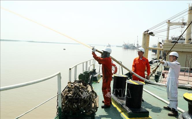 Đăng kiểm viên thuộc Chi cục Đăng kiểm số 10 làm thủ tục đăng kiểm cho phương tiện thuỷ nội địa tại Công ty TNHH MTV đóng tàu Nam Triệu, huyện Thuỷ Nguyên, thành phố Hải Phòng. Ảnh: Quốc Khánh - TTXVN