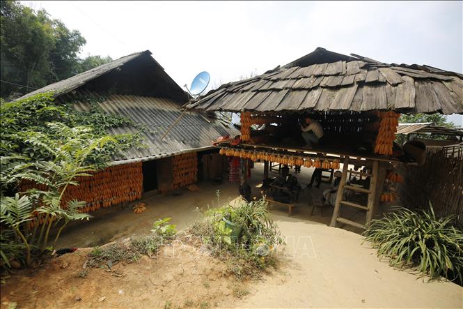 Ngôi nhà ngô được dựng lên với mục đích để du khách được tham quan, trải nghiệm nét văn hoá của người Mông Mù Cang Chải. Ảnh: Tuấn Anh – TTXVN 