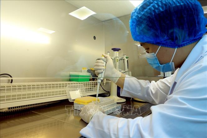 Thao tác lấy mẫu xét nghiệm PCR. Ảnh: Tuấn Anh - TTXVN