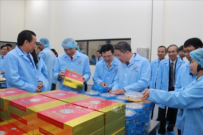 Lô hàng Yến sào Sanvinest Khánh Hòa nguyên chất của Công ty Cổ phần Nước giải khát Yến sào Khánh Hòa được xuất khẩu chính ngạch đầu tiên sang Trung Quốc (24/11/2023). Ảnh Đặng Tuấn -TTXVN
