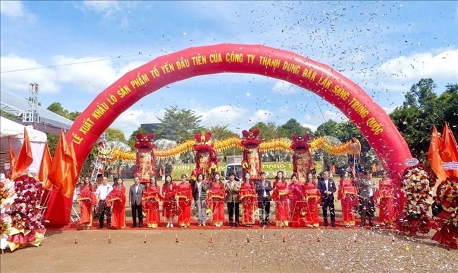  Lễ xuất khẩu lô tổ yến đầu tiên của Công ty CP Xuất nhập khẩu Yến sào Thành Dung (Đắk Lắk) sang thị trường Trung Quốc trong những ngày đầu năm 2024. Ảnh: TTXVN phát