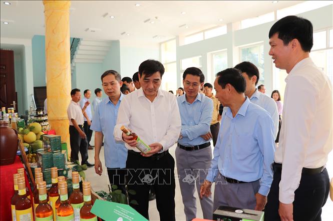 Các đại biểu tham quan gian hàng trưng bày tại Lễ xuất khẩu. Ảnh: Hoàng Hải - TTXVN