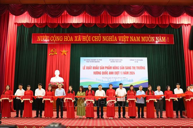 Các đại biểu cắt băng tại Lễ xuất khẩu sản phẩm nông sản Tuyên Quang sang thị trường Vương quốc Anh (đợt 1) năm 2024. Ảnh: Hoàng Hải - TTXVN