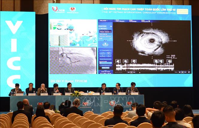 Phiên thảo luận khoa học diễn ra tại Hội nghị. Ảnh: Văn Dũng-TTXVN