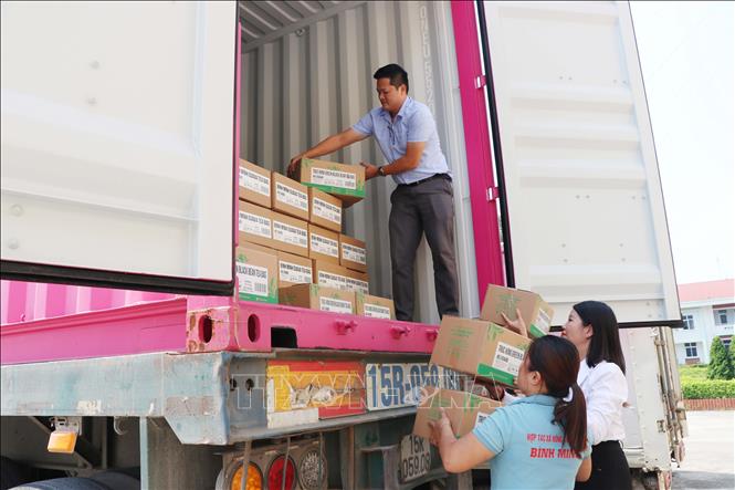  Các sản phẩm được vận chuyển lên xe để đưa đi xuất khẩu. Ảnh: Hoàng Hải - TTXVN