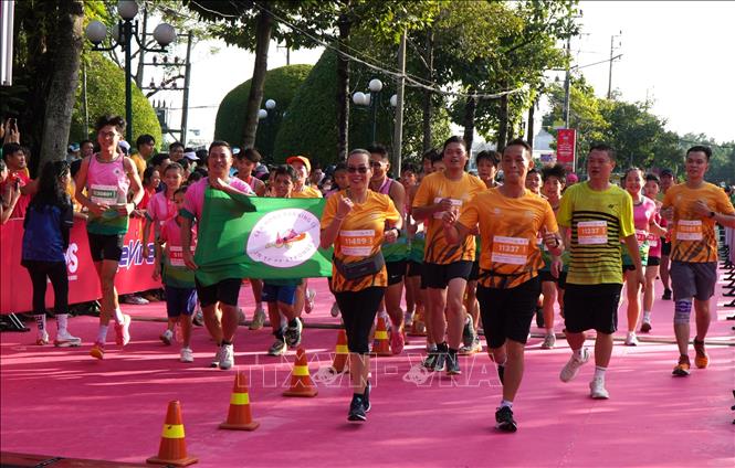 Các vận động viên tham gia Giải Marathon Đất Sen Hồng - Đồng Tháp năm 2024. Ảnh: Nhựt An - TTXVN