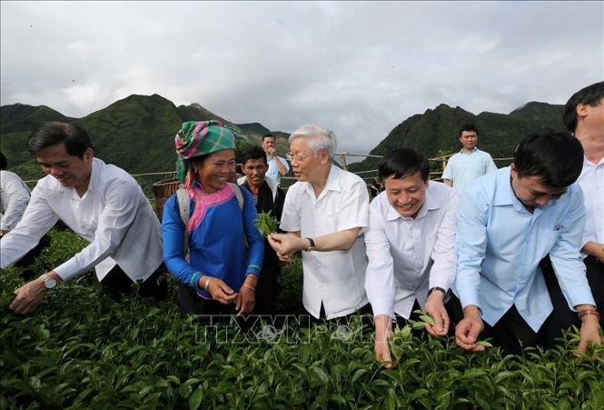 Tổng Bí thư Nguyễn Phú Trọng thăm mô hình thâm canh sản xuất chè VIETGAP ở Bản Cốc Phát, xã nông thôn mới Bản Bo, huyện Tam Đường, tỉnh Lai Châu (14/7/2016). Ảnh: Trí Dũng - TTXVN
