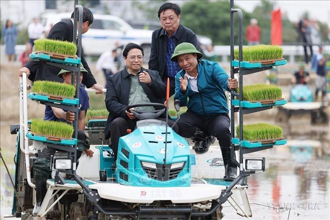 Thủ tướng Phạm Minh Chính cùng nông dân huyện Ninh Giang (Hải Dương) cấy mạ vụ Đông Xuân bằng phương tiện cơ giới, chiều 15/2/2024. Ảnh: Dương Giang-TTXVN