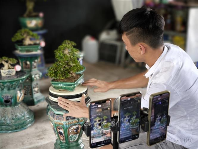 Ngoài tiêu thụ nông sản truyền thống qua kênh thương lái, hoặc liên kết tiêu thụ với doanh nghiệp, gần đây nông dân tại Bến Tre đã ứng dụng thương mại điện tử kết nối thị trường, mang lại hiệu quả, tạo thu nhập cao hơn cho người nông dân. Ảnh: Huỳnh Phúc Hậu - TTXVN