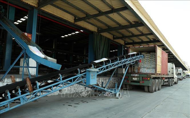 Sản phẩm phân bón DAP Đình Vũ hiện đã có mặt tại 63 tỉnh thành trên cả nước phục vụ nhu cầu của nhà nông. Ảnh: Quốc Khánh - TTXVN