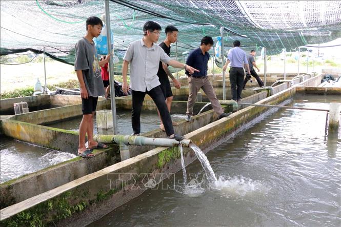 Trang trại nuôi cá tầm được đầu tư khá tốn kém với hệ thống bể và nguồn nước phải sạch. Ảnh: Chu Quốc Hùng-TTXVN