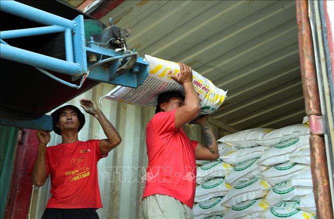 Sản phẩm phân bón DAP Đình Vũ hiện đã có mặt tại 63 tỉnh thành trên cả nước đáp ứng nhu cầu của nhà nông. Ảnh: Quốc Khánh - TTXVN