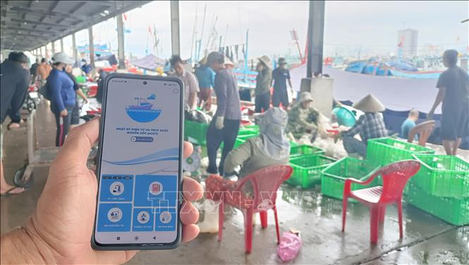 In Nha Trang, fishermen are gradually becoming familiar with declaring information online instead of documentation at the Hon Ro fishery port, the largest of its kind in the south-central region. VNA Photo: Đặng Tuấn