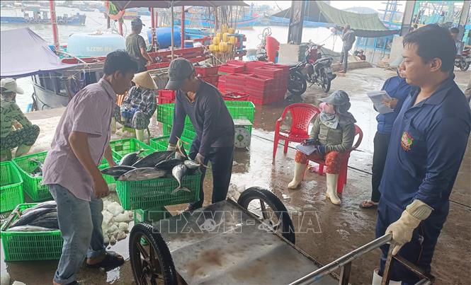 Hon Ro fishery port, the largest of its kind in the south-central region. VNA Photo: Đặng Tuấn