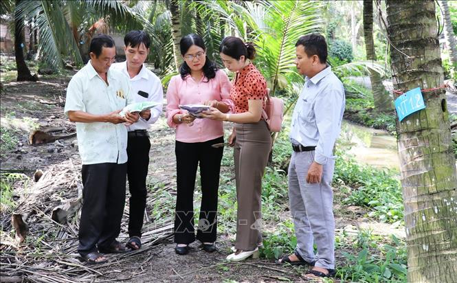 TS. Trần Thị Mỹ Hạnh (thứ ba, phải sang), Viện Cây ăn quả miền Nam, giới thiệu chế phẩm sinh học để phòng ngừa, quản lý sâu đầu đen trên cây dừa. Ảnh: Hữu Chí - TTXVN