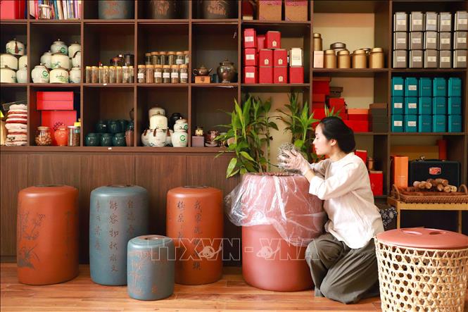 Chị Lâm Diệu Linh dành nhiều năm sưu tầm các loại trà, trà cụ, hũ đựng trà… Ảnh: Vân Chi/TTXVN phát