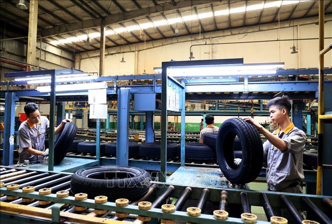 Car tyre manufacturing at the Sailun Co. Ltd at the Phuoc Dong IP in the southern province of Tay Ninh. VNA Photo