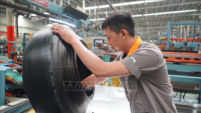 Car tyre manufacturing at the Sailun Co. Ltd at the Phuoc Dong IP in the southern province of Tay Ninh. VNA Photo