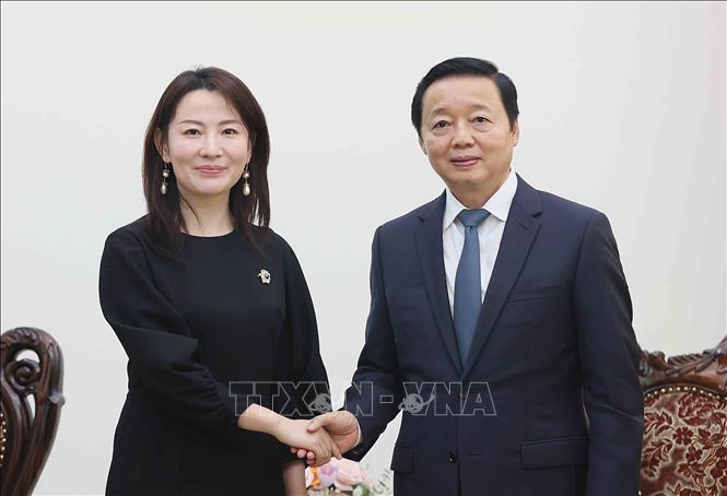 Phó Thủ tướng Trần Hồng Hà tiếp Tổng Giám đốc Tập đoàn Xây dựng Thái Bình Dương (Trung Quốc) Ngô Tĩnh. Ảnh: An Đăng - TTXVN