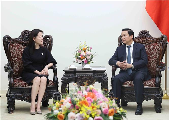 Phó Thủ tướng Trần Hồng Hà tiếp Tổng Giám đốc Tập đoàn Xây dựng Thái Bình Dương (Trung Quốc) Ngô Tĩnh. Ảnh: An Đăng - TTXVN