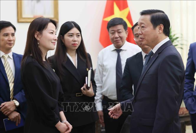Phó Thủ tướng Trần Hồng Hà tiếp Tổng Giám đốc Tập đoàn Xây dựng Thái Bình Dương (Trung Quốc) Ngô Tĩnh. Ảnh: An Đăng - TTXVN