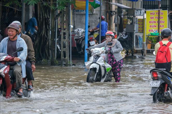 Phương tiện bị chết máy do triều cường ngập sâu trên đường Cách Mạng Tháng Tám, quận Bình Thủy ngày 18/10/2024. Ảnh: Thanh Liêm - TTXVN