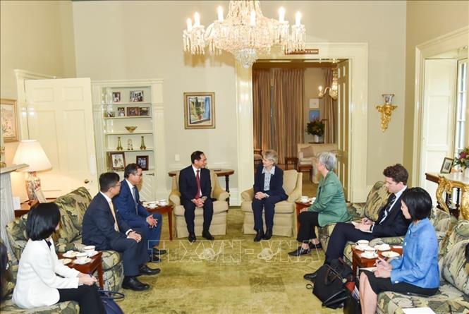  Deputy Prime Minister and Foreign Minister Bui Thanh Son meets with Governor of South Australia Frances Adamson. VNA Photo: Thanh Tú 