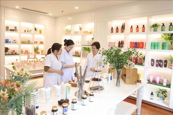 Chị Nguyễn Thị Hương Liên (bên phải) cùng các dược sĩ tại phòng trưng bày sản phẩm của công ty. Ảnh: Phương Hoa - TTXVN