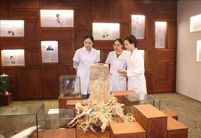 Chị Nguyễn Thị Hương Liên (bên phải) cùng các dược sĩ tìm hiểu dược liệu tại Bảo tàng dược liệu của công ty. Ảnh: Phương Hoa - TTXVN