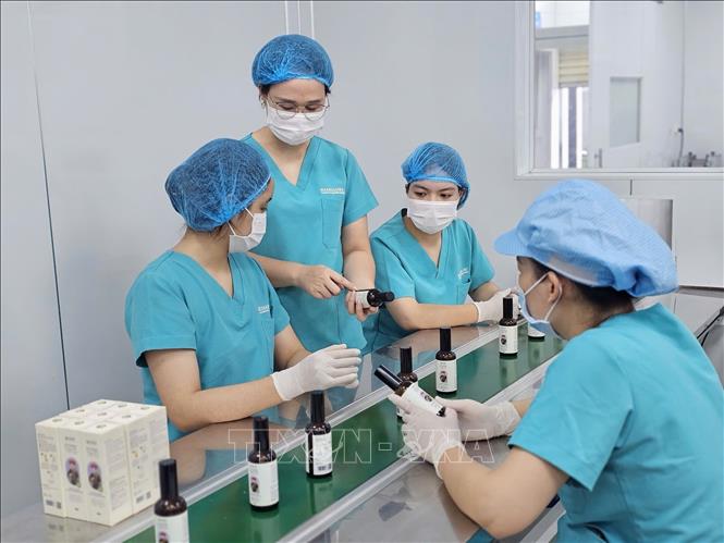 Chị Trịnh Thị Bích Linh (giữa) kiểm tra chất lượng sản phẩm tại nhà máy sản xuất mỹ phẩm. Ảnh: Phương Hoa - TTXVN