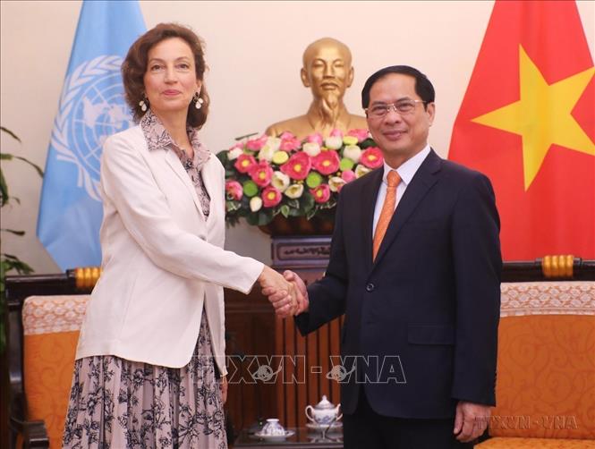 Bộ trưởng Ngoại giao Bùi Thanh Sơn tiếp Bà Audrey Azoulay, Tổng Giám đốc Tổ chức Giáo dục, Khoa học và Văn hóa của LHQ (UNESCO) thăm chính thức Việt Nam (5/9/2022). Ảnh: Lâm Khánh - TTXVN