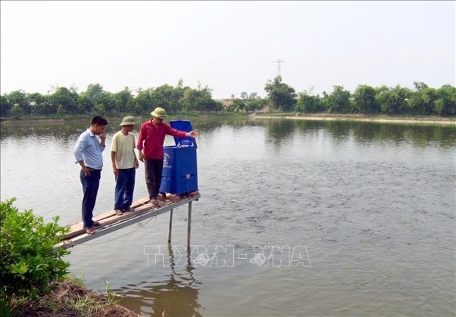 Mô hình đào ao thả cá kết hợp chăn nuôi của anh Nguyễn Đăng Phúc, thôn Hoàng Mai Yên, xã Liêm Phong, huyện Thanh Liêm, cho thu nhập 200 triệu đồng/năm. Ảnh: TTXVN phát