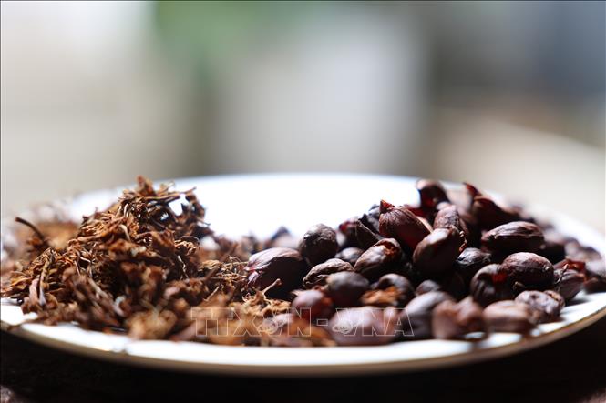 Vietnamese coffee businesses are diversifying coffee products to increase values of coffee fruits. One of such products is cascara tea, made from dried coffee cherries and flowers. VNA Photo 