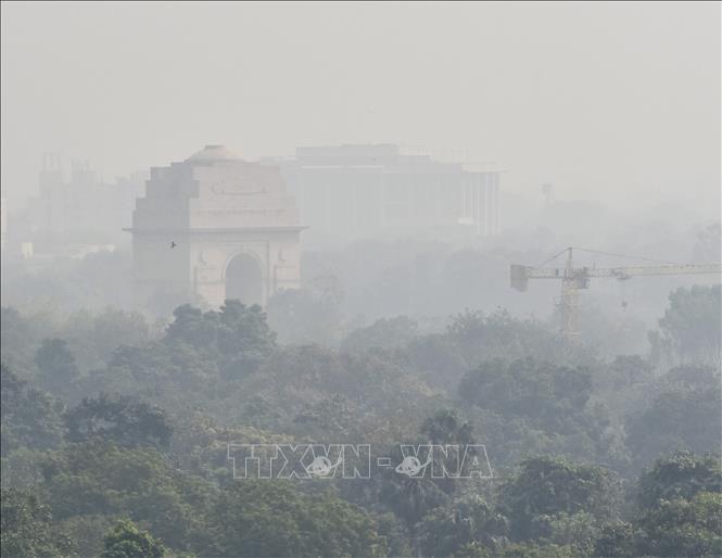 Sương mù dày đặc tại thủ đô New Delhi, Ấn Độ ngày 22/10/2024. Ảnh: ANI/TTXVN